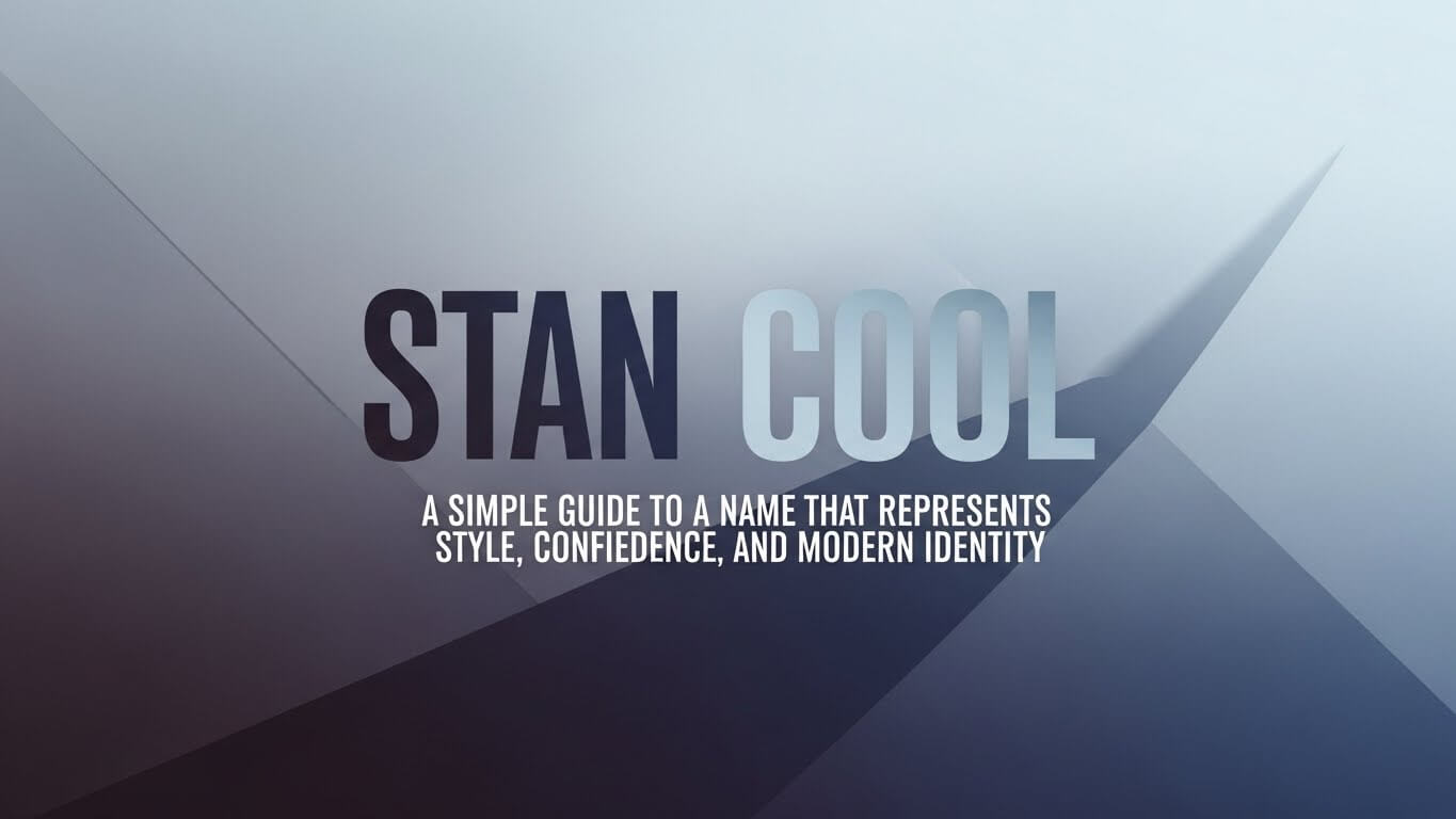 Stan Cool in the Digital World